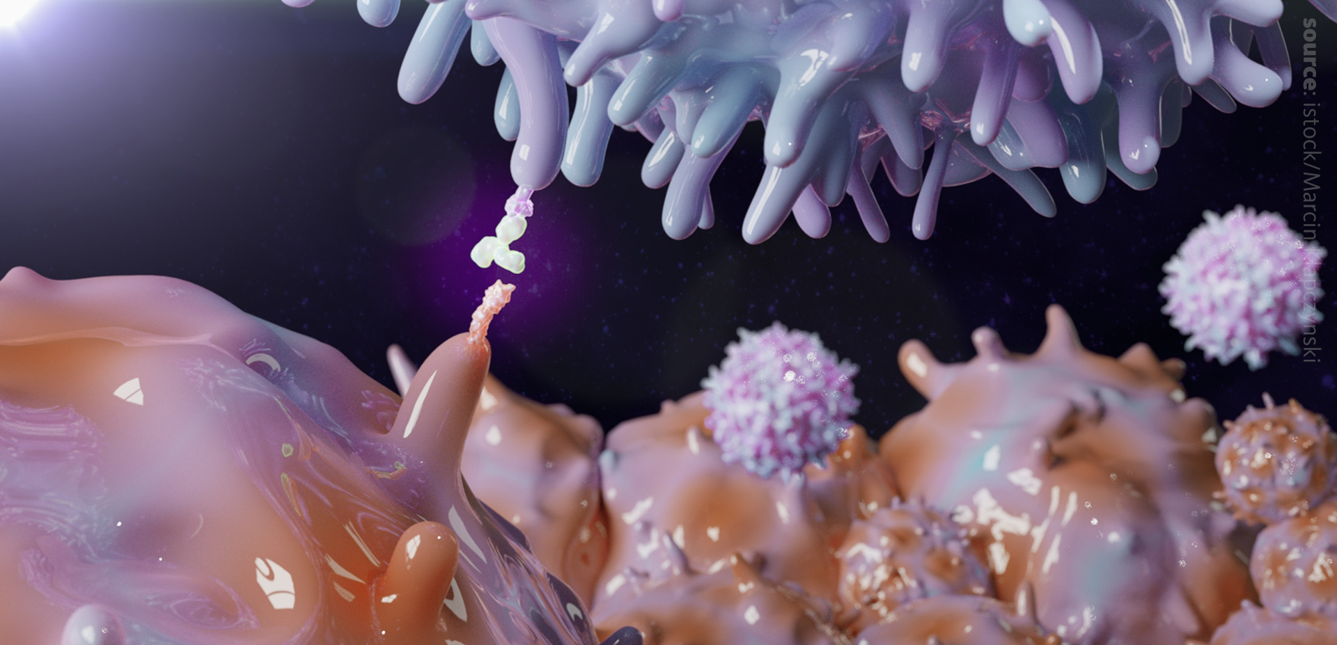 A computer render graphic showing a dendritic cell presenting an antigen to a T cell.