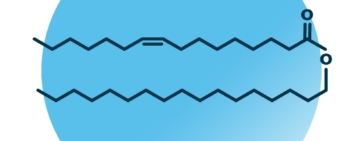 An example for the molecular structure of wax ester, specifically WE 17:0;0_16:1;0.