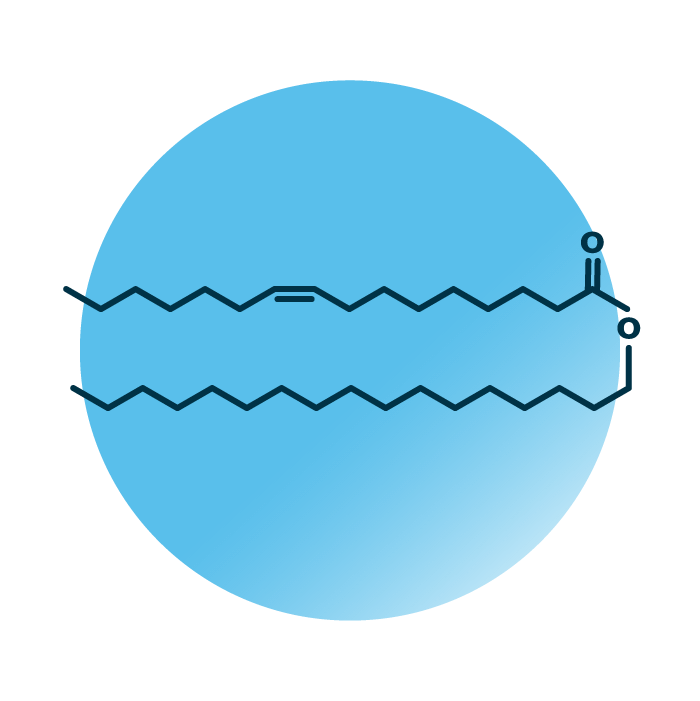 An example for the molecular structure of wax ester, specifically WE 17:0;0_16:1;0.