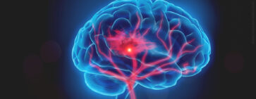 The title image of the Lipidomics Webinar "Role of Lipids in Central Nervous System Regeneration" with Mikael Simons.