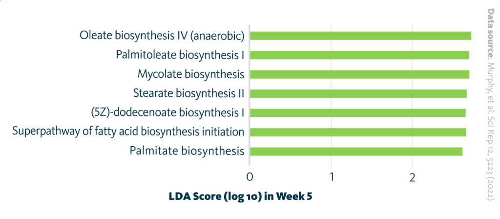 The upregulation of oleate, palmitoate, mycolate, stearate, dodecanoate, and palmitoate biosynthesis pathways is observed.