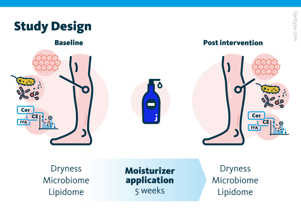 Study design. The participants applied the body lotion during 5 weeks on one leg. Dryness, skin microbiome, and lipidome were assessed.