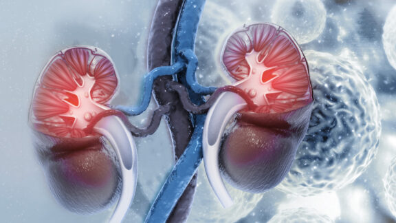 Computer graphics depicting two kidneys on a grey background