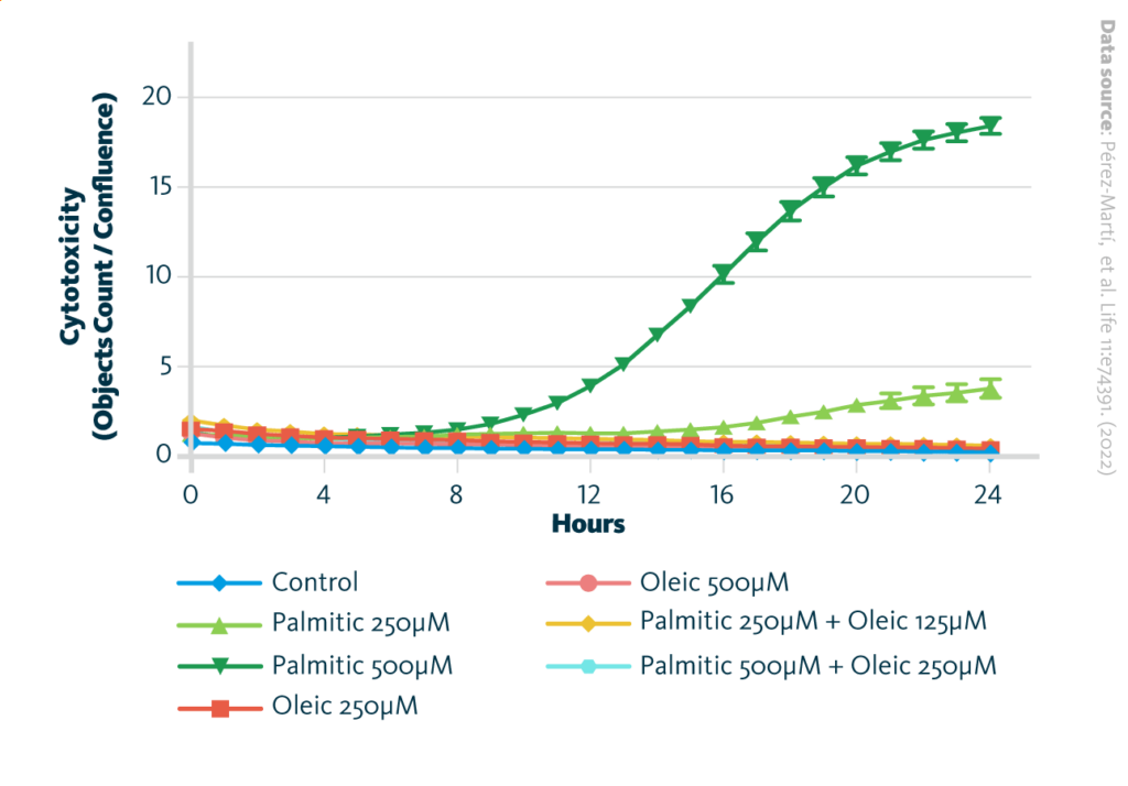 Palmitic Acid Induced Cytotoxicity Is Blocked By Oleic Acid In Renal Epithelial Cells