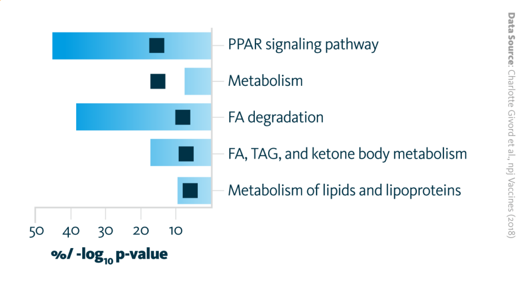 AS03 vaccine adjuvant induces alterations in gene expression in the nearby lymph node. Overrepresented pathways encompassing significantly downregulated genes (p-value 