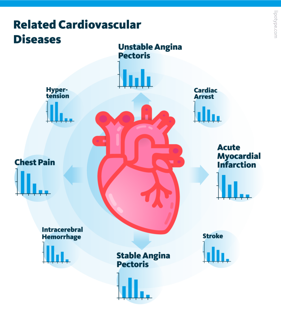 Schematic representation of various related cardiovascular diseases.