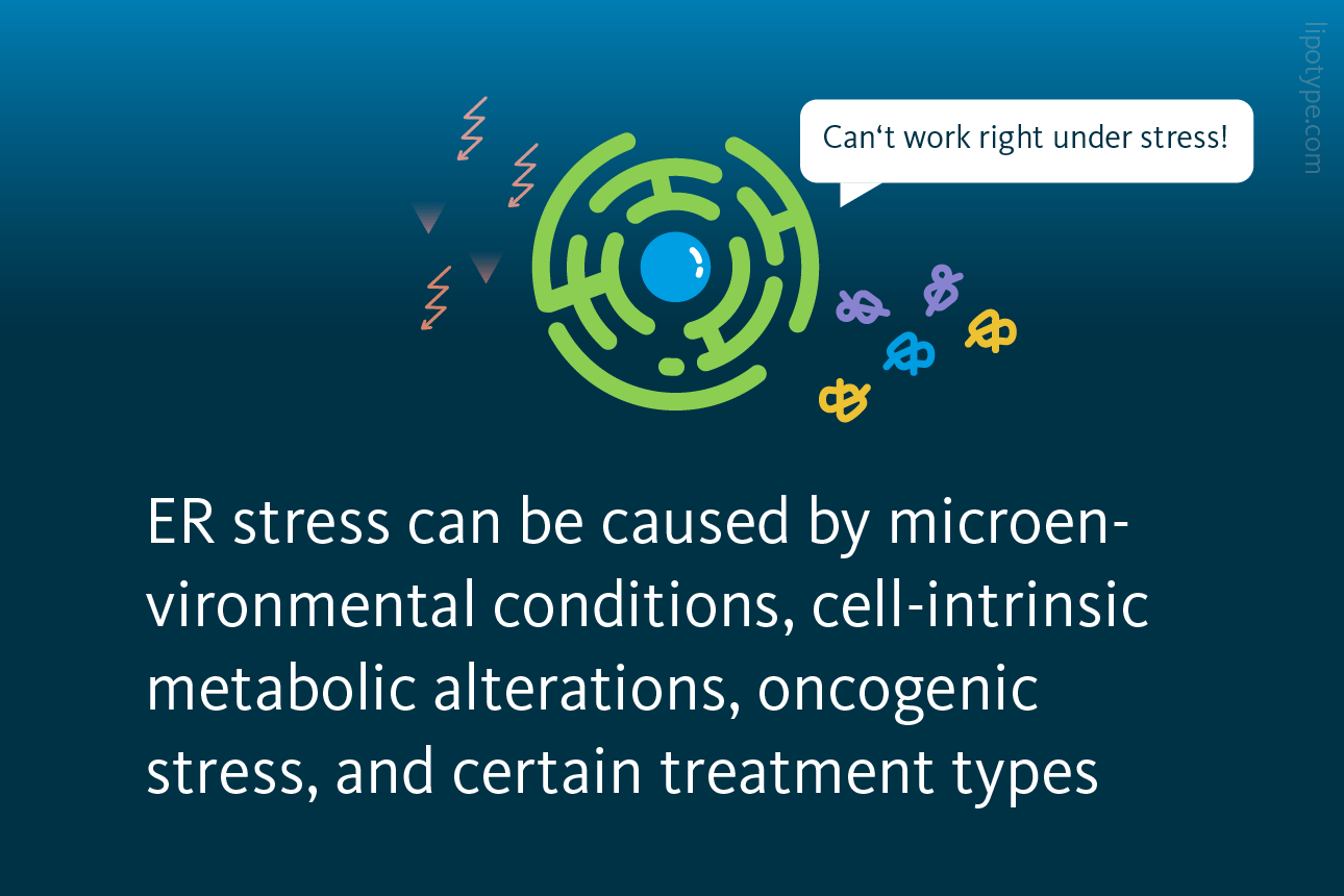 Slide 3: ER stress can be caused by microenvironmental conditions, cell-intrinsic metabolic alterations, oncogenic stress, and certain treatment types.