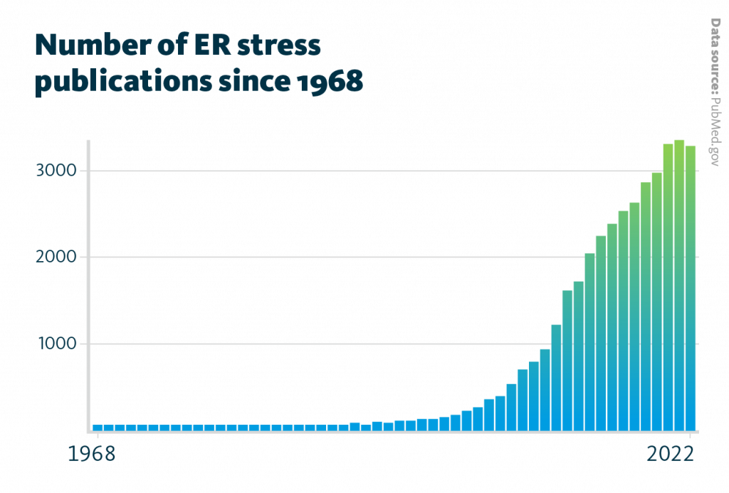 The number of annual publications which mention ER stress began to continuously increase from about 100 publications in 2000 to about 3,000 publications in 2020. The number of annual publications which mention ER stress began to continuously increase from about 100 publications in 2000 to about 3,000 publications in 2020.