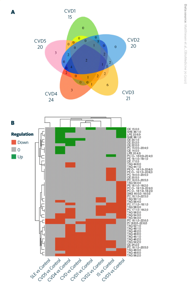 Significantly regulated lipids within various groups of diseases. A: Venn diagram depicting significantly regulated lipids between CVD subgroups. B: Heatmap visualizing the direction of significantly upregulated and downregulated lipids in different disease groups and in CVD subgroups.