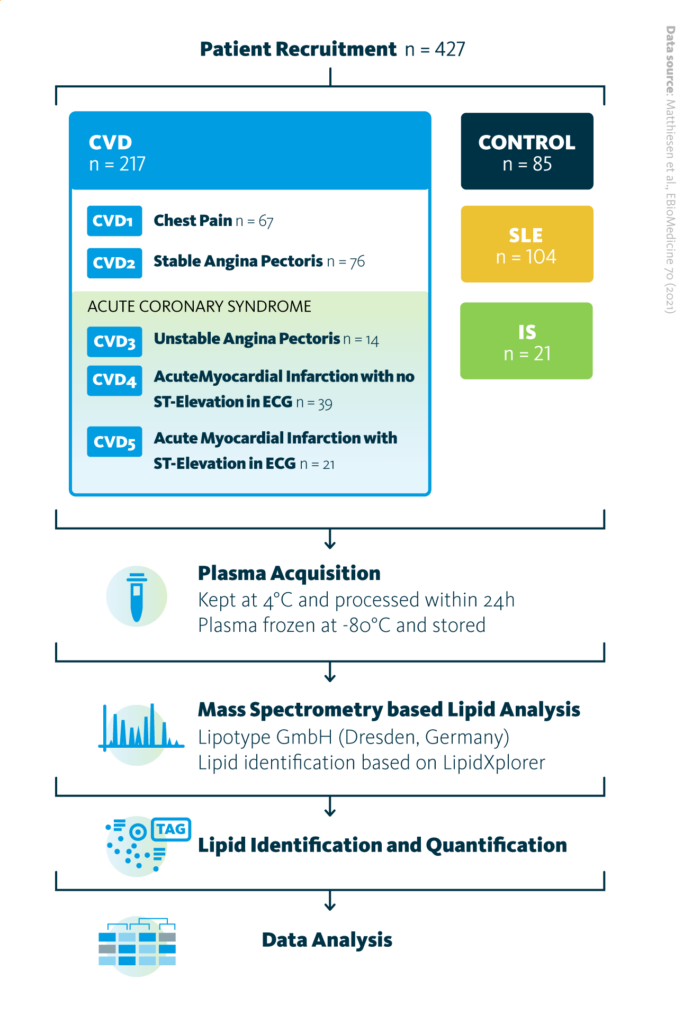 The study design overview. Total of 427 patients participated in the study, with 85 belonging to the control group, 217 to the cardiovascular disease (CVD) group, 21 to the ischemic stroke (IS) group, and 104 to the systemic lupus erythematosus (SLE) group. Sample acquisition was followed by shotgun mass spectrometry lipidomics analysis of obtained samples, lipid identification and quantification, and data analysis.