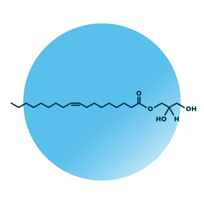 An example for the molecular structure of monoacylglycerol MAG 18:1;0.