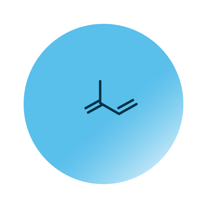 General molecular structure of the lipid category prenol lipids.