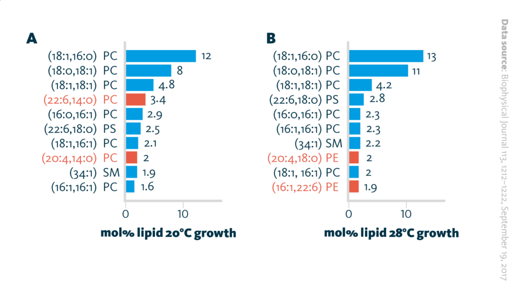 Ten most abundant lipid species measured in GPMVs from cells grown depending on the growth temperature (20° and 28° C): lipid species unique for each group are labeled in red text.