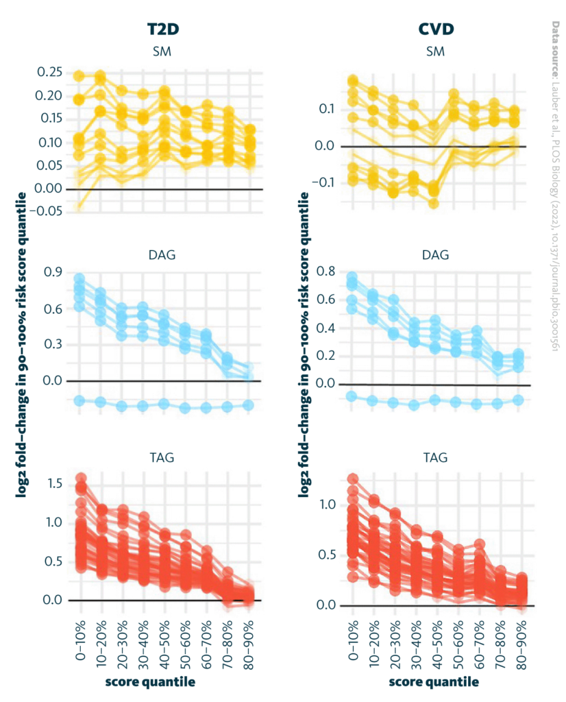 Selected features of high-risk lipidome signature. The dots represent the fold-changes of the selected lipid classes concentrations in the individuals of the 90%–100% N + L + P + C risk score quantile compared to the other quantiles for T2D (left) and CVD (right), with the changes being statistically significantly different for the presented lipid classes. CVD, cardiovascular disease; DAG, diacylglyceride; SM, sphingomyelin; T2D, type 2 diabetes.