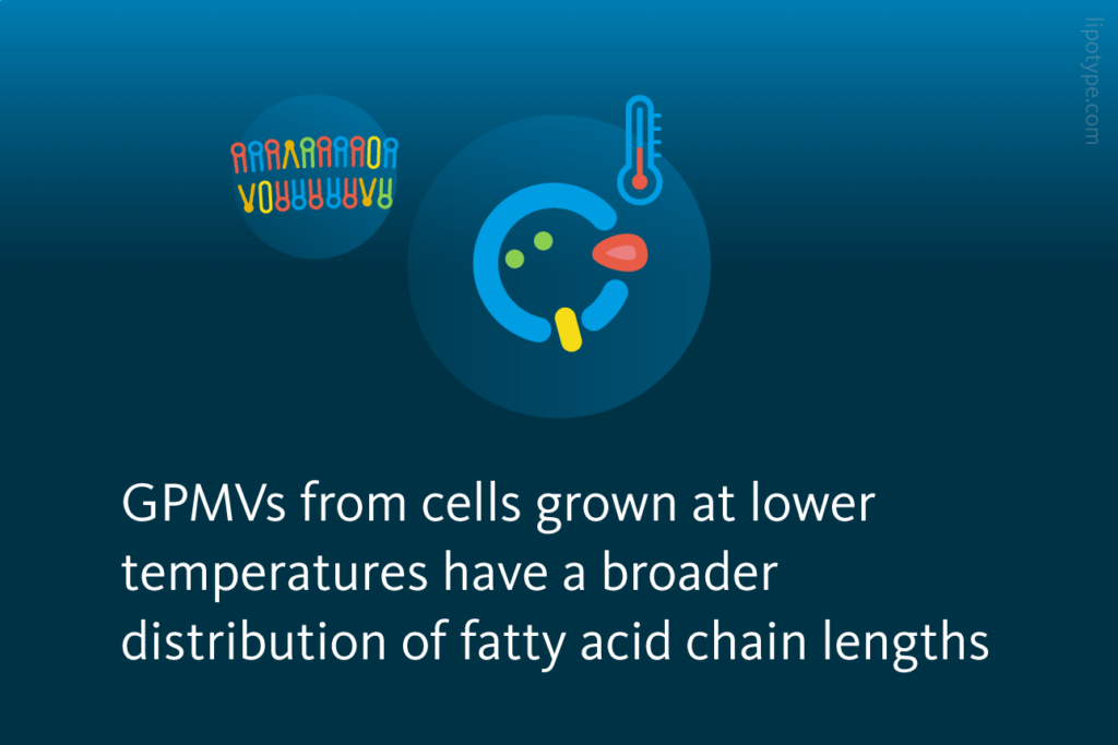 Slide 3: Growth Temperature Influences Membrane Lipids