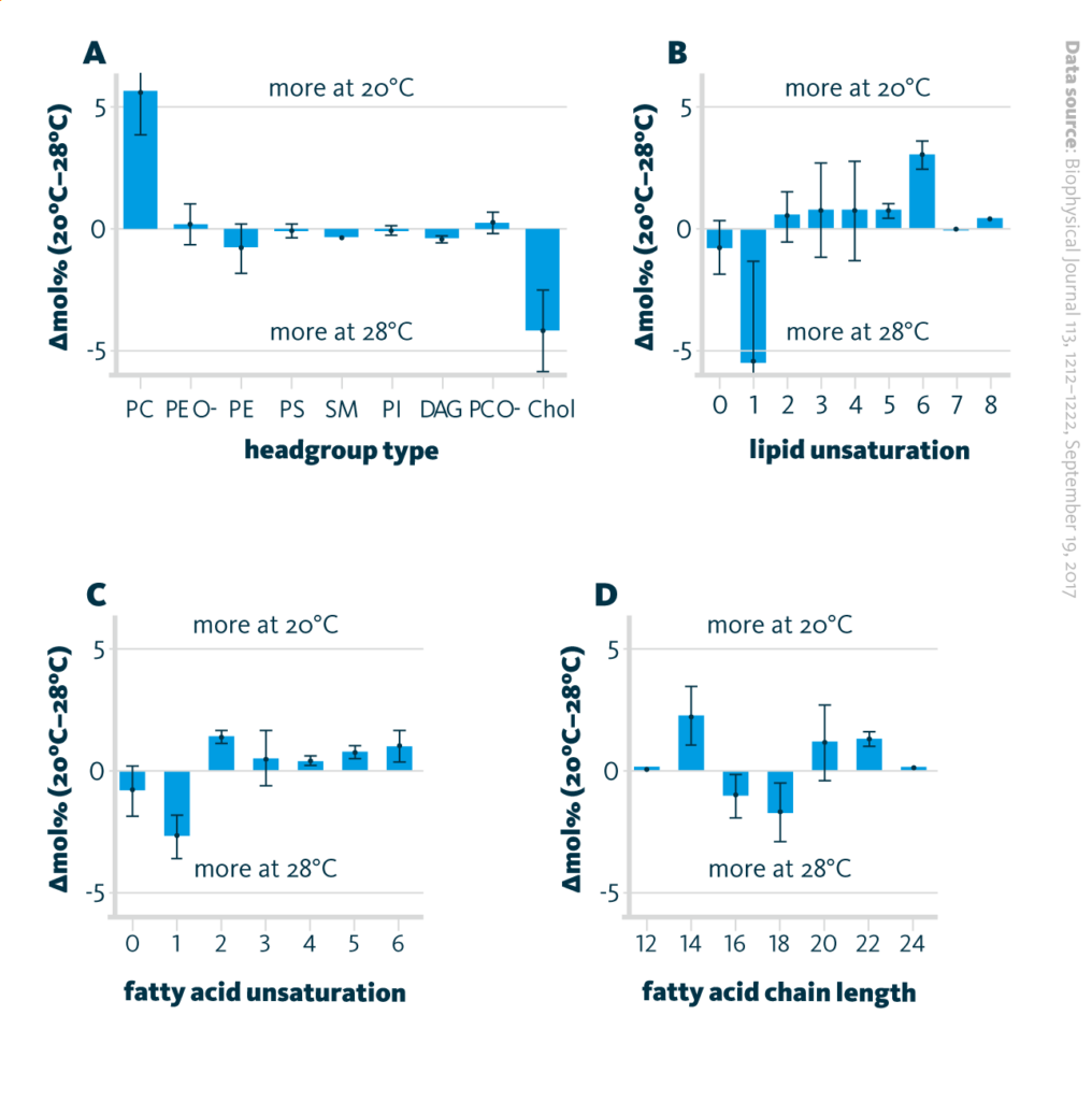 Molar percent of lipid composition direction of changes depending on the growth temperature (20° and 28° C): A lipid classes, B total lipid unsaturation, C fatty acid chain unsaturation, and D fatty acid chain length; error bars show the mean +/- SE in four measurements.