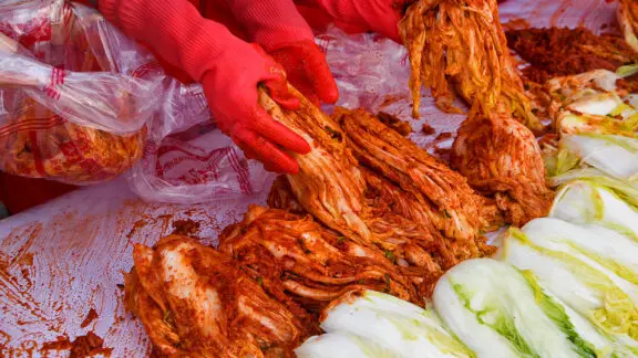 Marinating napa cabbage with kimchi sauce