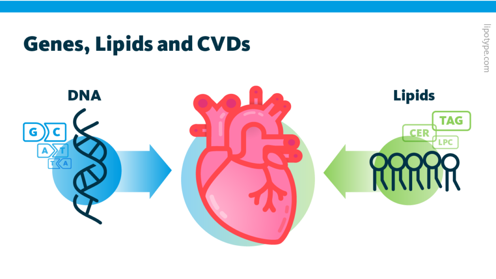 Using genomics and lipidomics methods associations between genotypes, the plasma lipidome, and risk for cardiovascular disease can be studied.