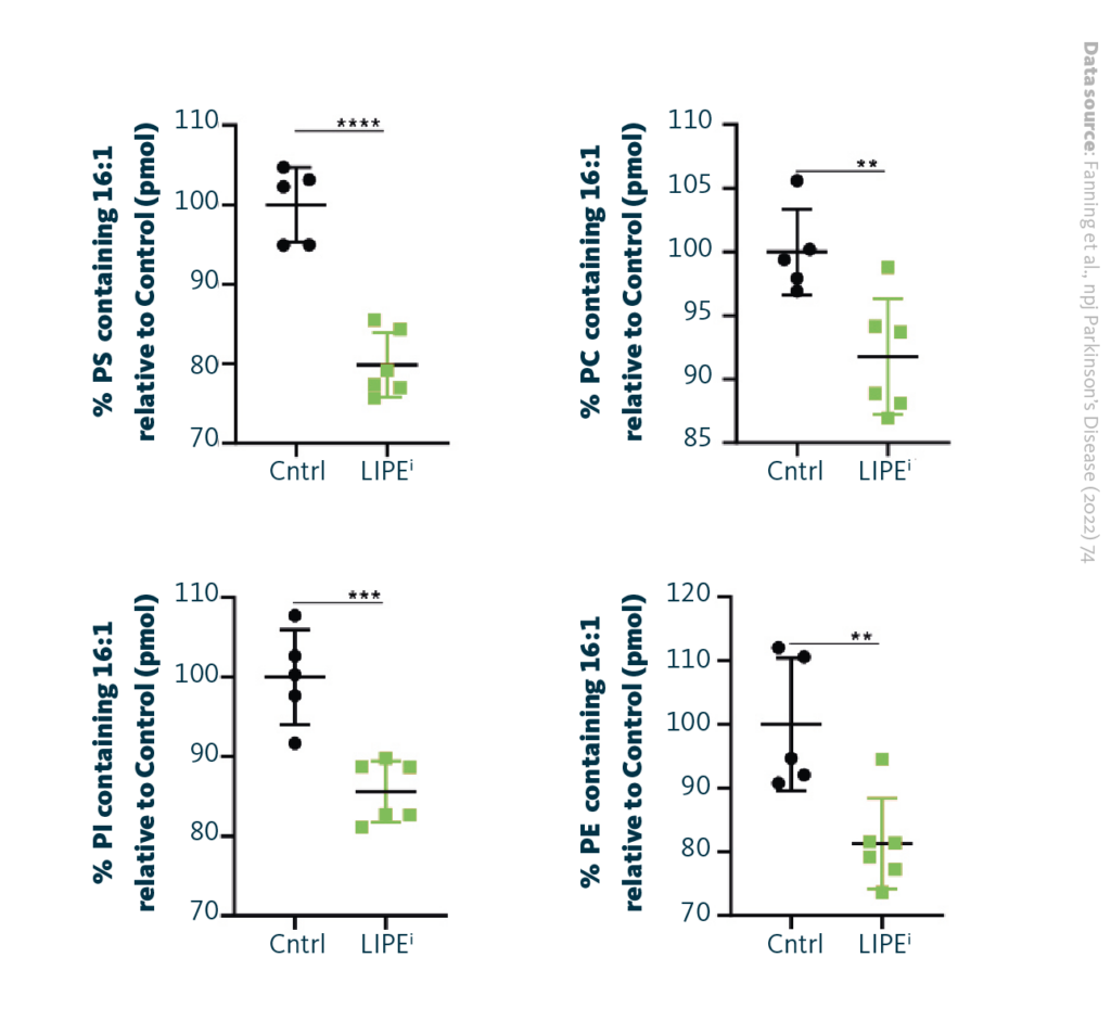 LIPE inhibition reduces 16:1-containing fatty acid species in several phospholipid classes. PS, PE, PC, PI classes containing 16:1 species are decreased upon LIPE inhibition. Middle line: mean values. Error bars: standard deviation (n in graph order: 5, 6). **p < 0.01 unpaired t-test. PS, phosphatidyl­serine; PE, hosphatidyl­ethanolamine; PC, hosphatidylcholine; PI, phosphatidyl­inositol.