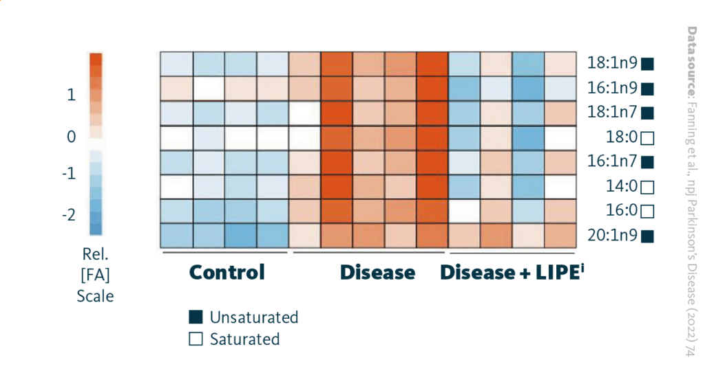 LIPE inhibitor effect on the primary neurons. LIPE inhibitor restores the fatty acid composition of α-Synuclein triplication neurons to a normal state, similar to control neurons. Red and blue heatmap is a representation of a given FA species relative amount. Saturated/unsaturated status indicated by white/black squares.