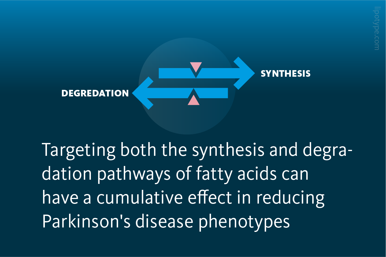 Slide 4 Targeting Both The Synthesis And Degradation Pathways Of Fatty Acids Can Have A Cumulative Effect In Reducing Parkinson's Disease Phenotypes