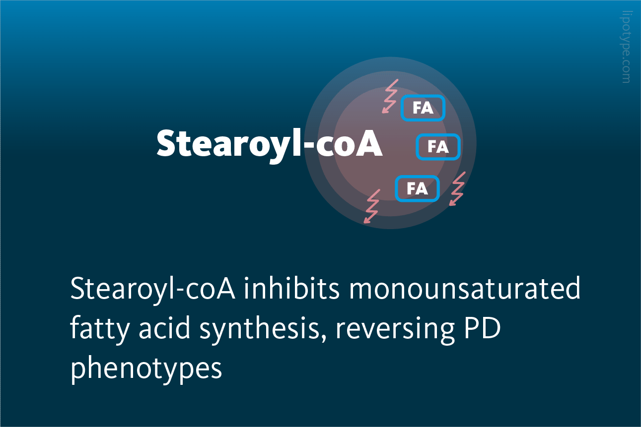 Slide 2 Stearoyl CoA Inhibits Monounsaturated Fatty Acid Synthesis Reversing PD Phenotypes
