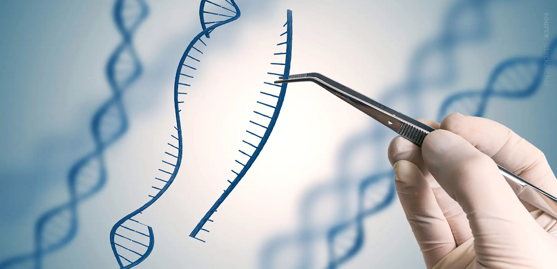 Lipid metabolism gene editing is visualized with the hand holding a part of a DNA with the forceps