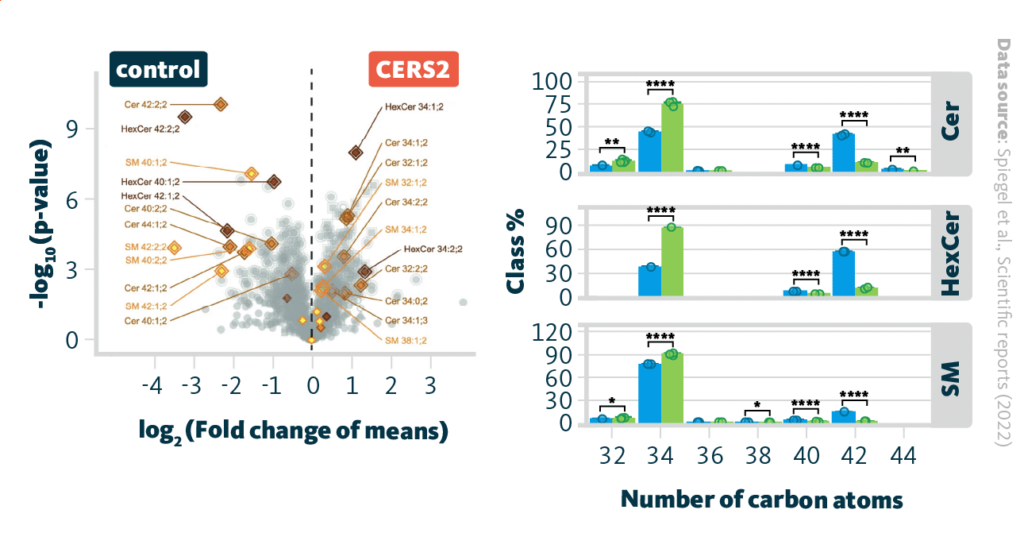 Lipid profiles of CERS2 knockout cells. Left: CERS2 knockout lipid profile changes represented in a volcano plot. Lipid species of the CERS2 knockout cell line and the control were compared. Outlined points indicate lipids significant after correction for multiple testing. Right: the distribution of sphingolipid length in CERS2 knockout cells. Lipid species have been normalized to the lipid class and summed up by their total number of carbon atoms (shown on the x-axis). Standard deviations are visualized with error bars. * for q<0.05, ** for q<0.01,**** for q<0.0001. Cer, ceramide; HexCer, hexosyl ceramide; SM, sphingomyelin.