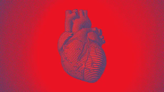 Lipidomics Of Cardiovascular Diseases