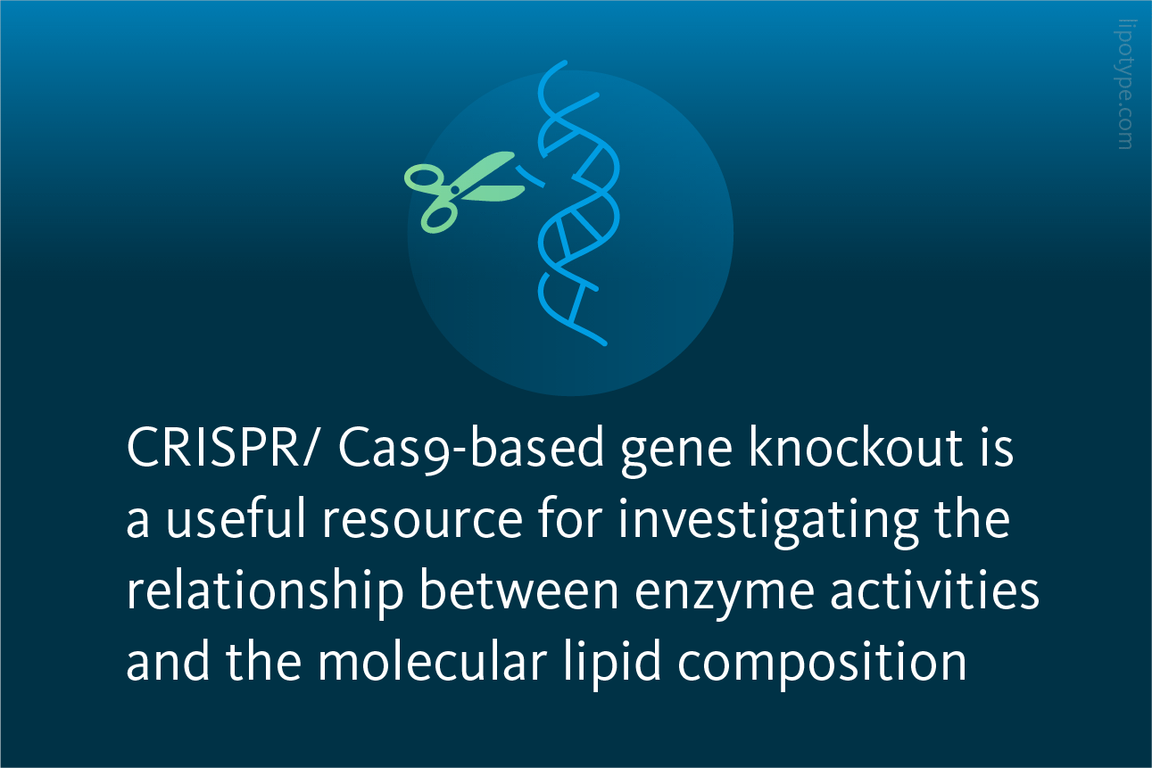Slide 2 CRISPR Cas9 Based Gene Knockout Resource Investigating Relationship Enzyme Activities Lipids