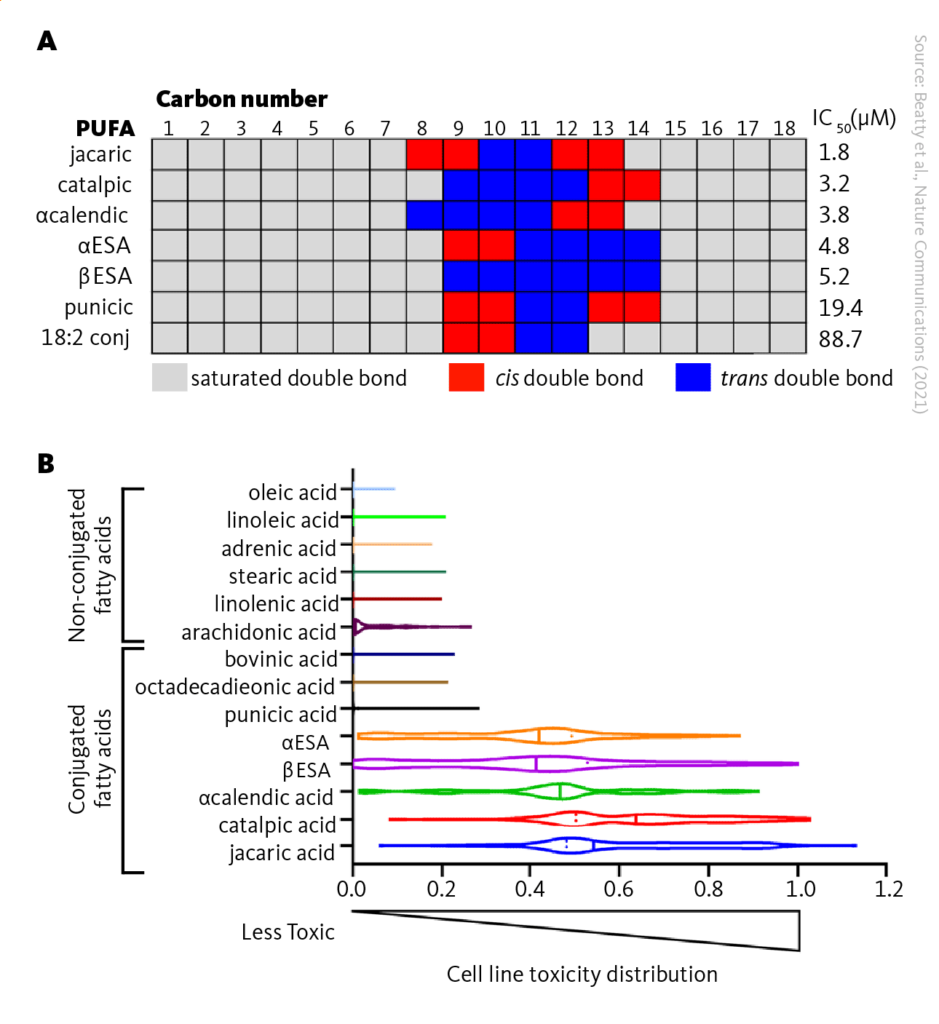 The toxicity of conjugated linolenic fatty acids for cancer cells. A The correlation of the structure and effectiveness of 18-carbon conjugated polyunsaturated fatty acids against cancer cell line after 72 hours of treatment. B Toxicity of different fatty acids on a mix of 100 human cancer cell lines and measured cell viability after 48 hours. The results are shown in a violin plot with a toxicity value of 1 representing complete cell loss and 0 indicating normal viability; IC50, half maximal inhibitory concentration.