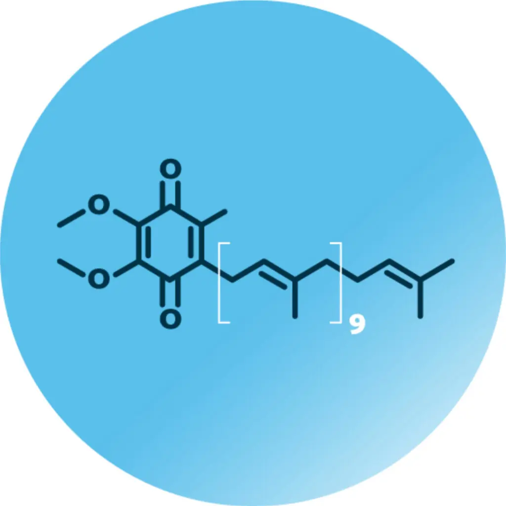 The molecular structure of Coenzyme Q10 (CoQ10), a lipid that is highly enriched in Korean kimchi. The molecular structure of Coenzyme Q10 (CoQ10), a lipid that is highly enriched in Korean kimchi.