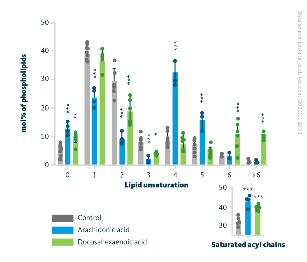 The remodeling of lipidome induced by dietary PUFA incorporation in vitro. The effect of arachidonic acid and docosahexaenoic acid dietary supplementation on lipid saturation. Both, arachidonic acid and docosahexaenoic acid, lead to an increase in saturated lipids and decrease di- and tri-unsaturated containing lipids. Large panel: mol% of fully saturated acyl chains in phospholipids; ** p < 0.01, *** p < 0.001. Small panel: student’s t test compared to untreated; *** p < 0.001.