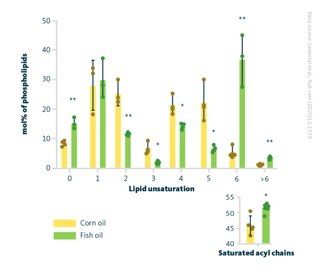 The remodeling of lipidome induced by dietary PUFA incorporation in vivo. The effect of dietary corn oil and fish oil on lipid saturation in murine heart tissue. Incorporation of ω-3 PUFAs into membrane lipids is associated with lipidomic remodeling, namely higher levels of saturated lipids. Large panel: mol% of fully saturated acyl chains in phospholipids; * p < 0.05, ** p < 0.01. Small panel: student’s t test compared to untreated; * p < 0.05.