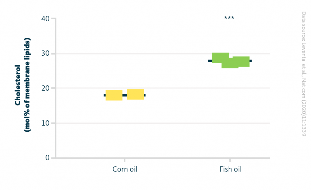 Cholesterol upregulation by dietary docosahexaenoic acid. Membranes isolated from murine cardiac tissue had higher cholesterol level when mice were fed with fish oil compared to corn oil. ***, p < 0.001.