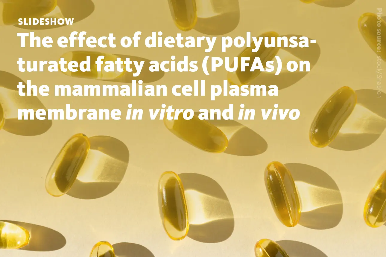 Slide 1: The effect of dietary polyunsaturated fatty acids (PUFAs) on the mammalian cell plasma membrane in vitro and in vivo.