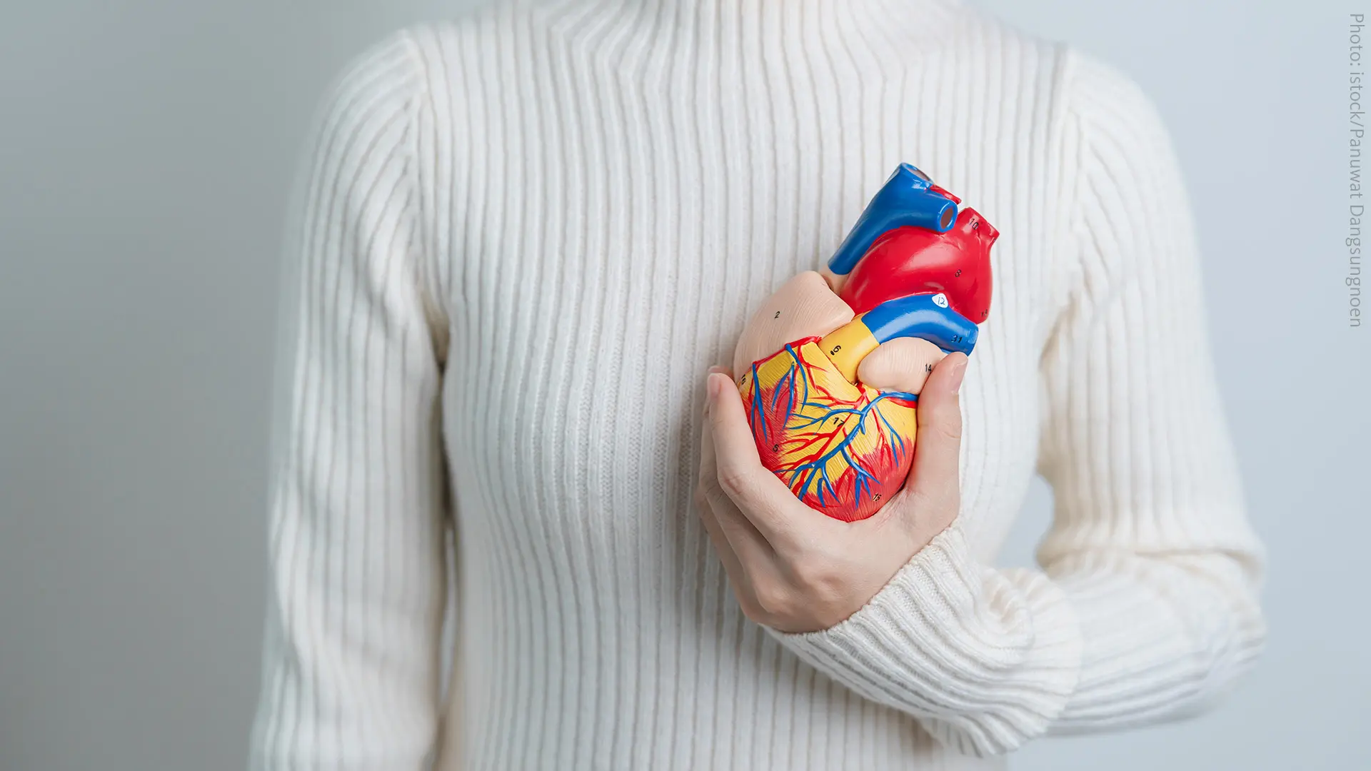 Navigating cardiovascular diseases
