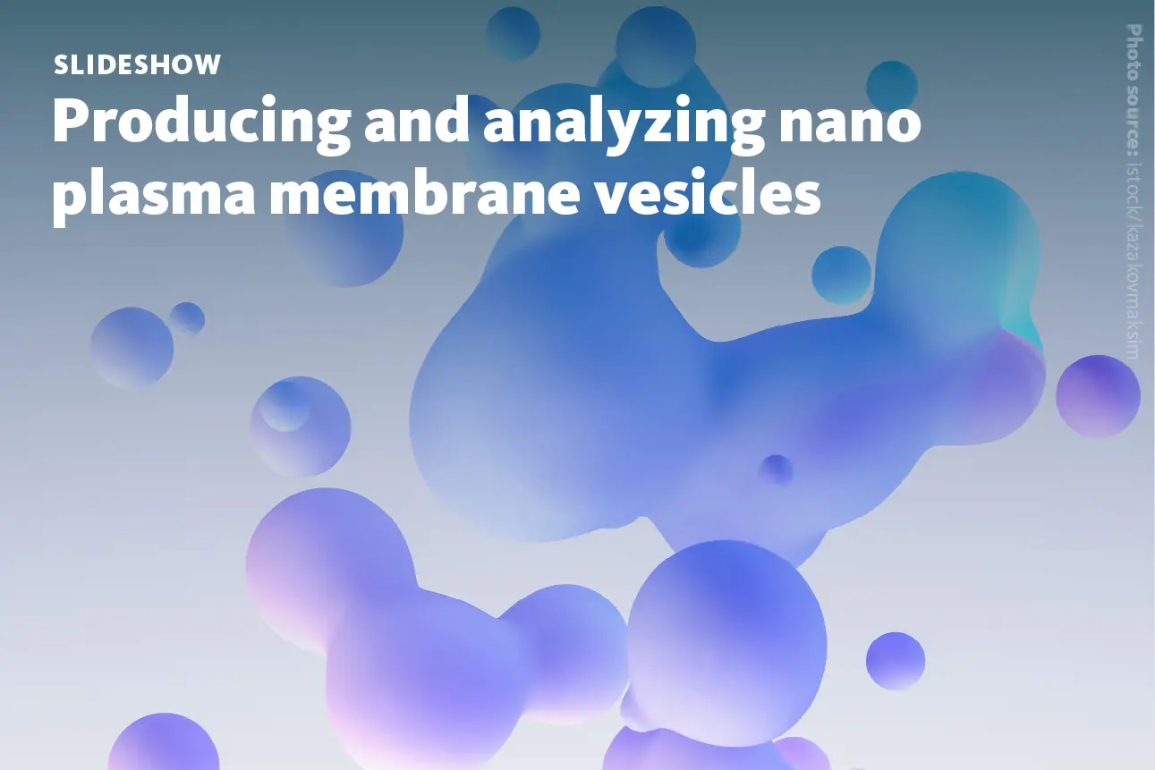 Slide 1: Producing and analyzing nano plasma membrane vesicles