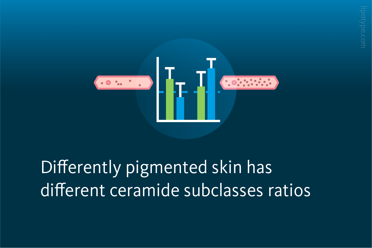Slide 5: Differently pigmented skin has different ceramide subclasses ratios