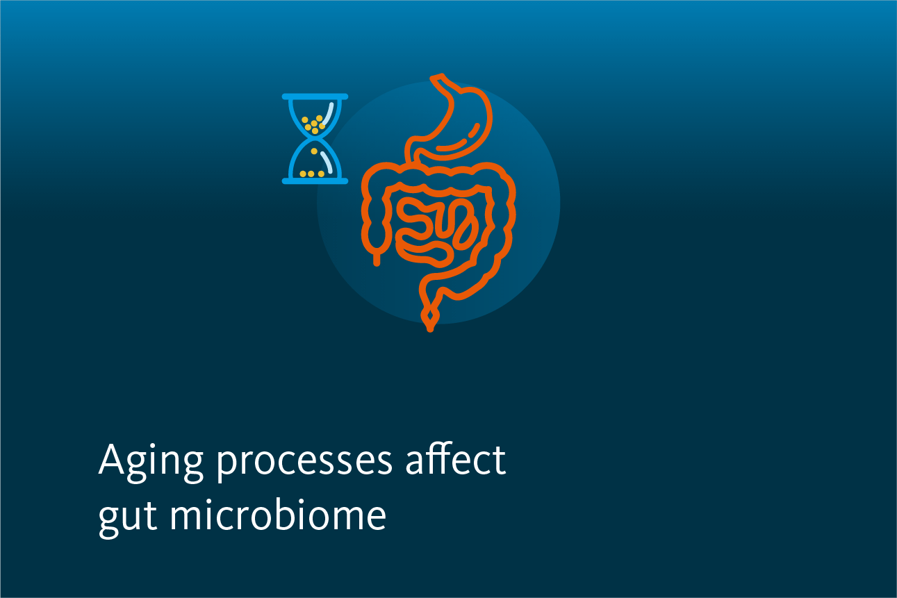 Slide 2: Aging processes affect gut microbiome.