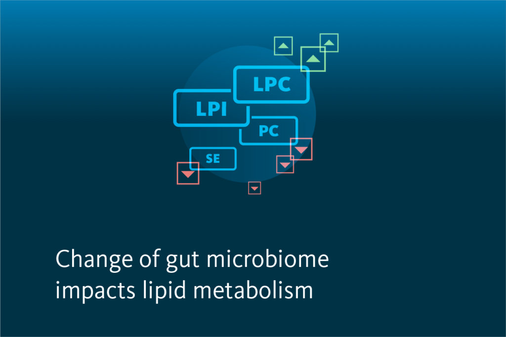 Slide 3: Change of gut microbiome impacts lipid metabolism.
