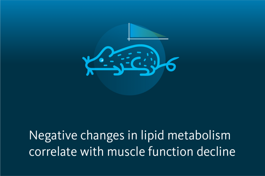 Slide 5: Negative changes in lipid metabolism correlate with muscle function decline.