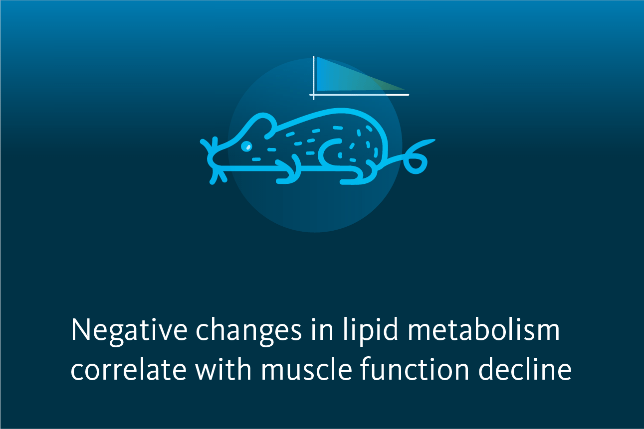 Slide 5: Negative changes in lipid metabolism correlate with muscle function decline.