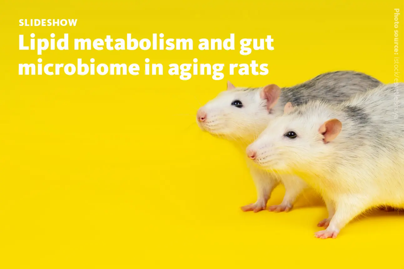 Slide 1: Lipid metabolism and gut microbiome in aging rats.
