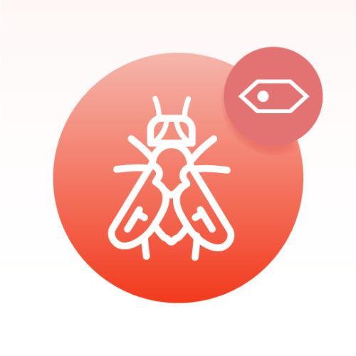 Basic Drosophila Cell Lipidomics