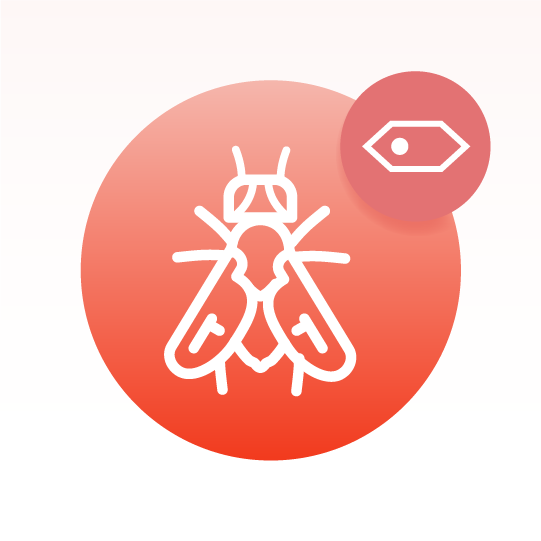 Basic Drosophila Cell Lipidomics