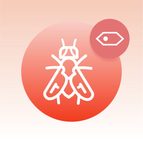 Standard Drosophila Cell Lipidomics