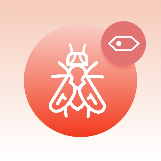 Standard Drosophila Cell Lipidomics