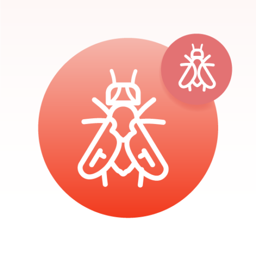Basic Drosophila Species Lipidomics