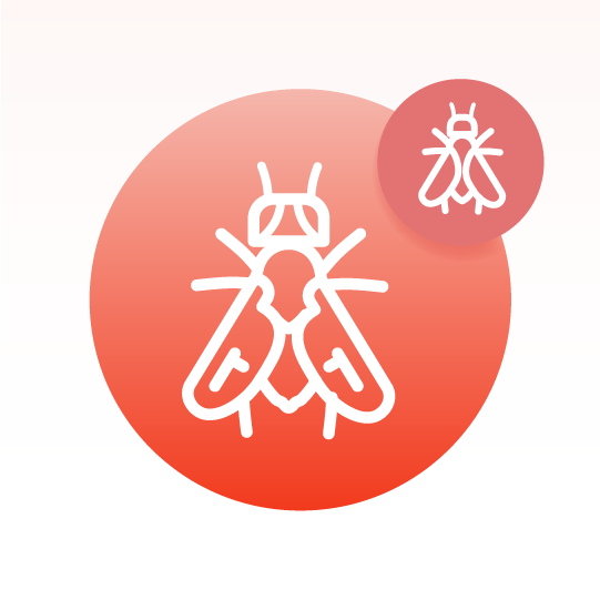 Basic Drosophila Species Lipidomics